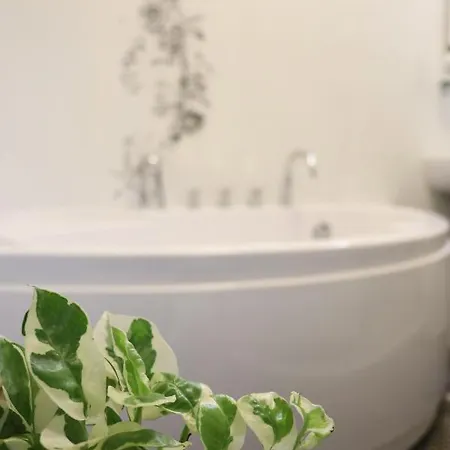 Hotel Bogdanov Yar 3*